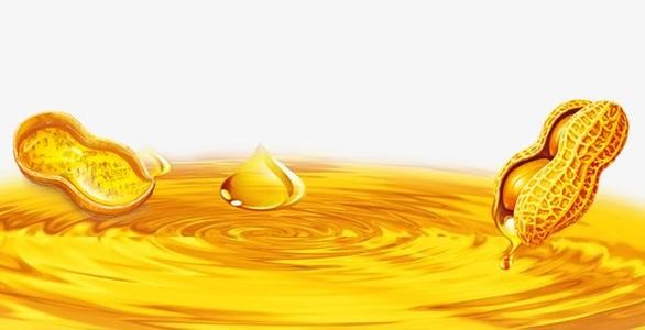 Peanut oil refining machine