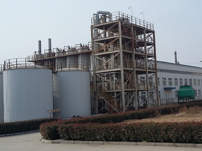 Plant oil base catalytic hydrolysis device