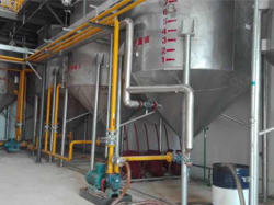 Animal oil refining process description