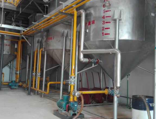 Animal oil refining process description