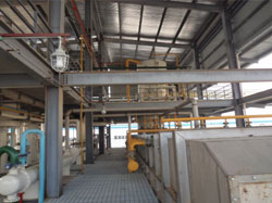 Oil extraction machine