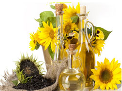 Sunflower oil press