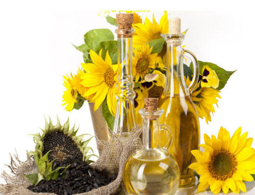 Sunflower oil press