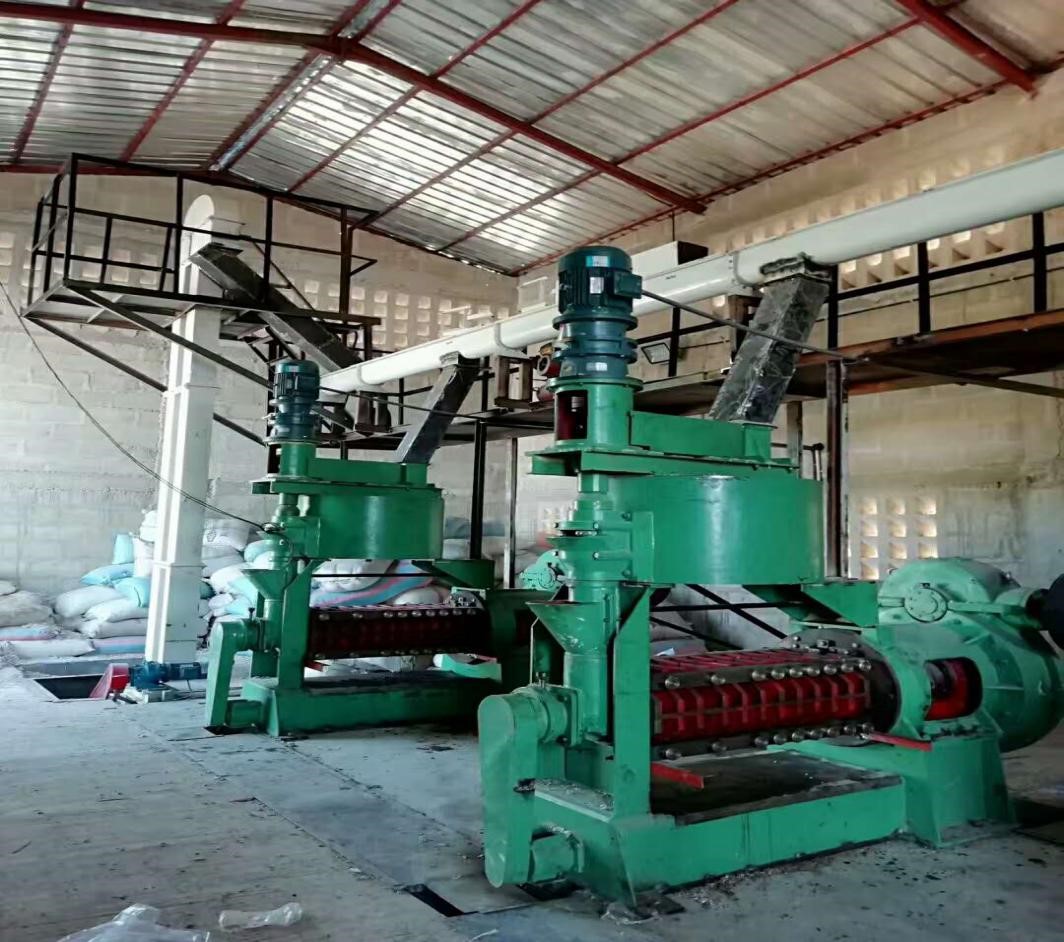 Cottonseed oil extraction production line