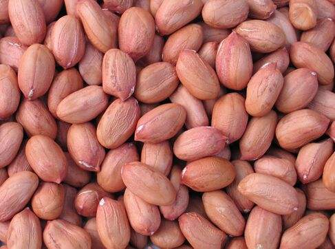 Peanut oil extraction production line